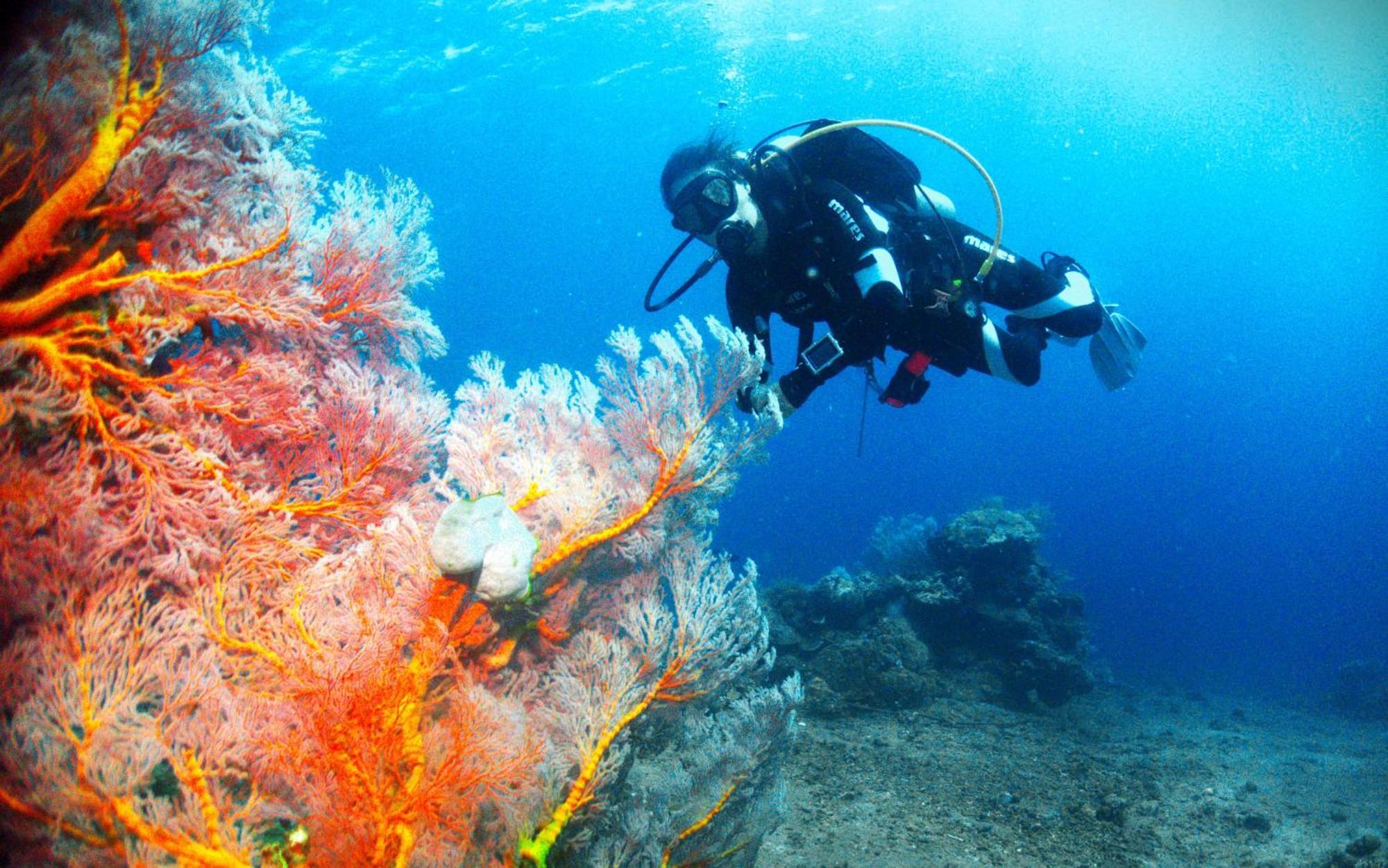 אמד Kura Kura Divers Lodge מראה חיצוני תמונה
